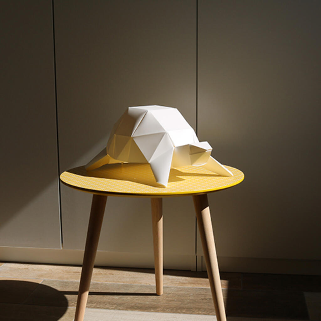 tortue-carre-500x500-jpg-1591970377.jpg