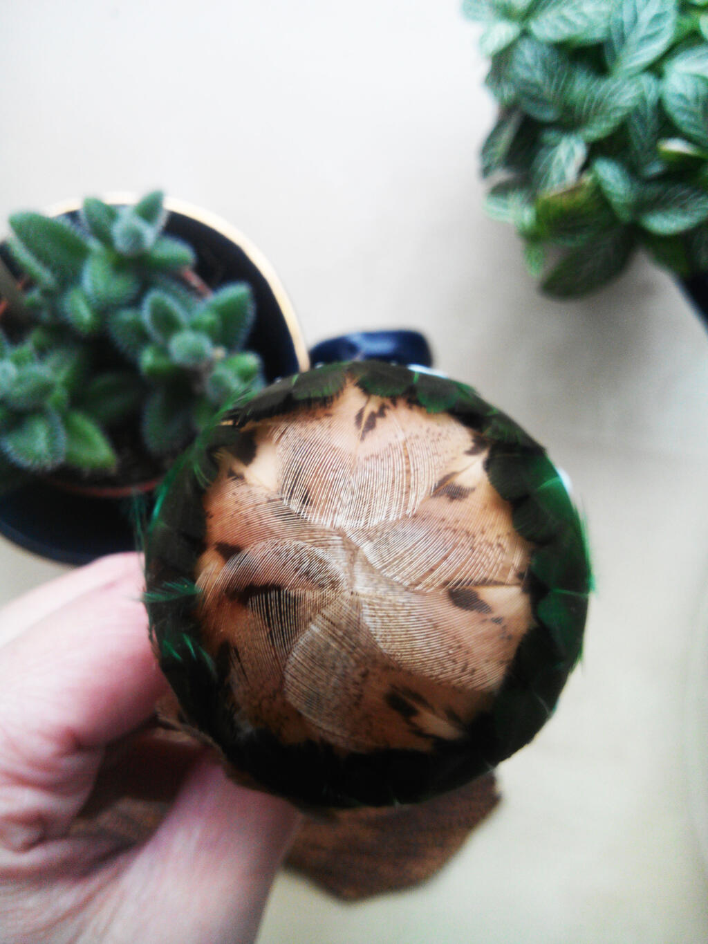 boule-plume-3-analepse-felt-design-jpg-1602240199.jpg