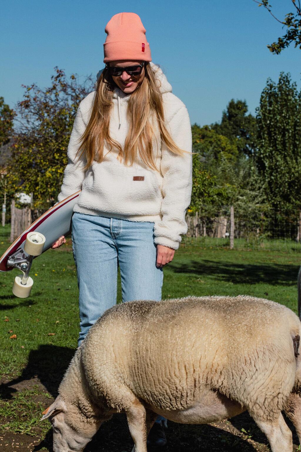 sheep1-min-optimized.jpeg