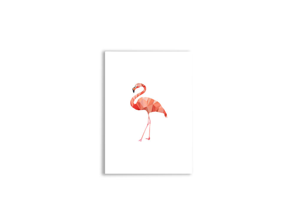 flamingo-jpg-1751833533.jpg