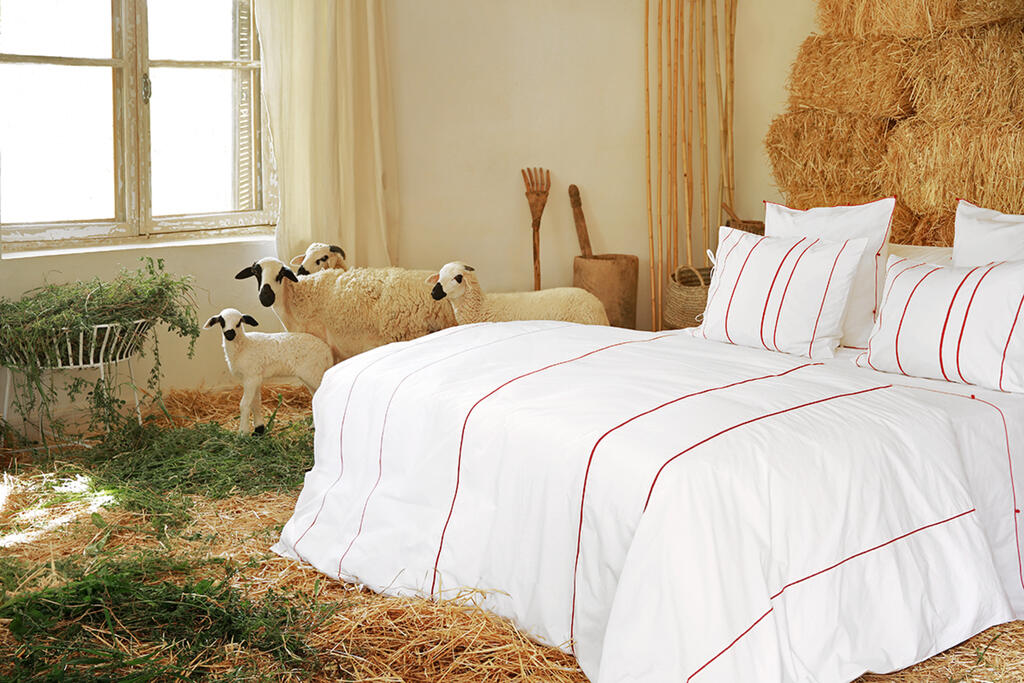 ll01asmara-rouge-carmin-v-barkowski-moutons-jpg-1592481631.jpg